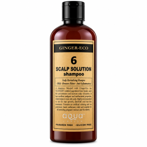 Aq Ginger Shp No.6 500ml